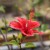 Riad Papillon Gallery website launched Riad Papillon Gallery website launched